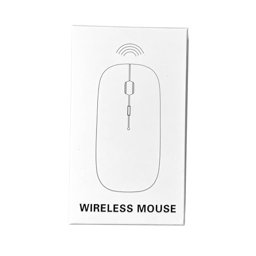 Wireless Mouse 2.4 GHz with USB Receiver for Laptop Computer Rechargeable Wireless Mouse Compatible with Apple MacBook Air/Pro, iPad, Mac, Chromebook, PC, with USB C Adapter (White Silver)