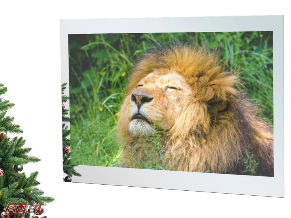 AVEL 75-Inch 4K LED Bathroom TV IP65 Waterproof Smart Mirror TV - Android OS, 500 cd/m2, WI-FI, HDMI, YouTube/Netflix Compatibility (2023 Model, AVS750SM)…