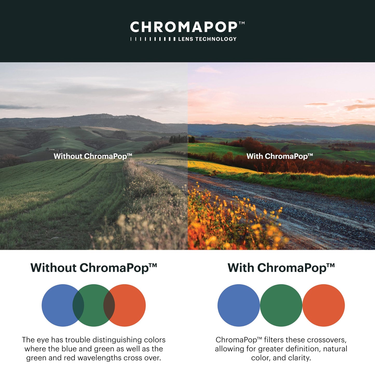Smith Guide's Choice ChromaPop Polarized Sunglasses