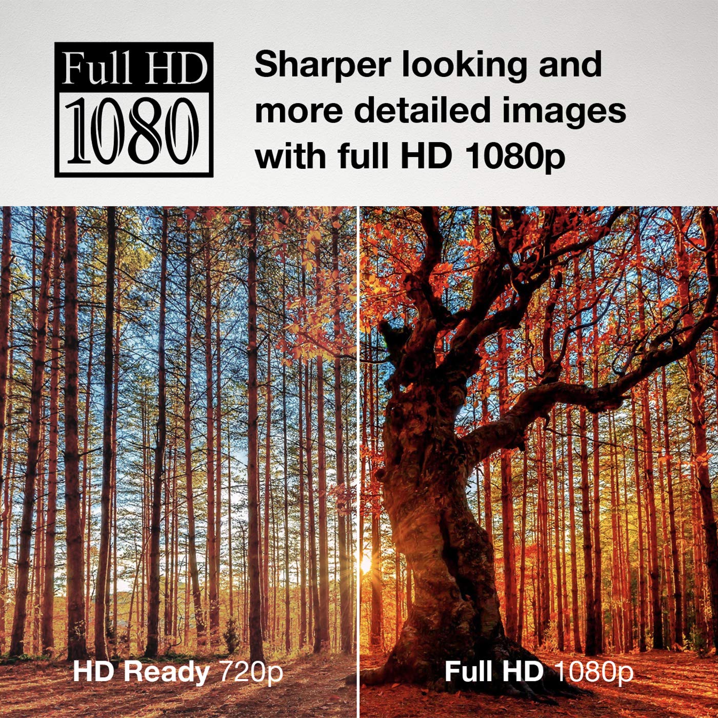 Cello C4320F 43 inch Full HD LED TV with Built-in DVD player and Freeview HD Built in Satellite receiver 3 x HDMI and USB 2.0 to record Live TV Easy to Setup Non-Smart Made in the UK